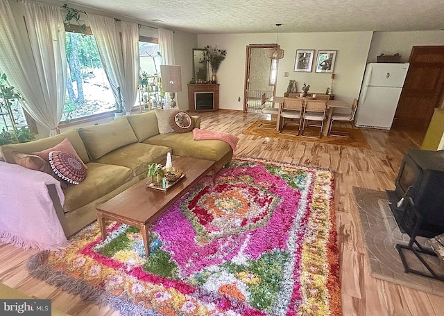 415 Rolly Rd, Mount Jackson, VA 22842 - living area with a textured ceiling, wood finished floors, and a wood stove