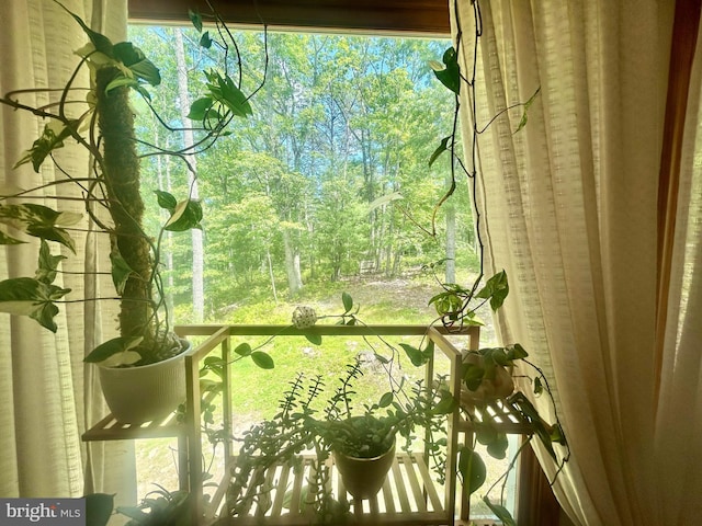 415 Rolly Rd, Mount Jackson, VA 22842 - view of balcony