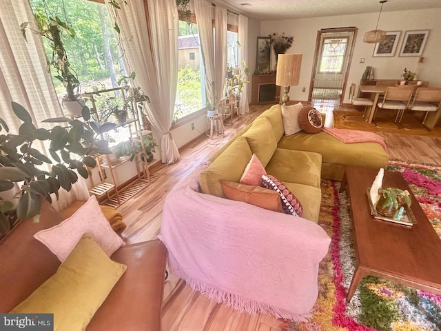 415 Rolly Rd, Mount Jackson, VA 22842 - living room with wood finished floors, healthy amount of natural light, and baseboards