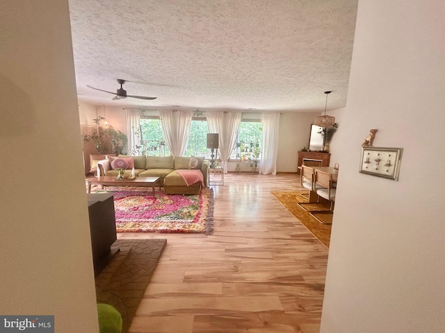 415 Rolly Rd, Mount Jackson, VA 22842 - living room featuring healthy amount of natural light, a textured ceiling, light wood finished floors, and ceiling fan