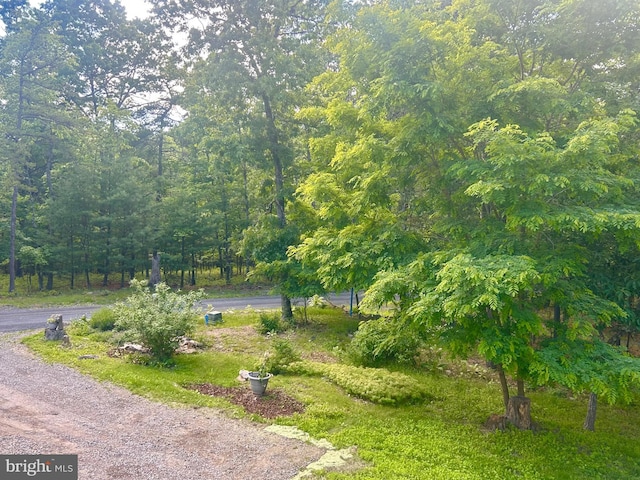 415 Rolly Rd, Mount Jackson, VA 22842 - view of yard
