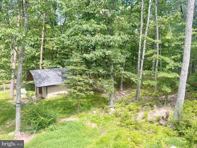 415 Rolly Rd, Mount Jackson, VA 22842 - view of yard with a wooded view