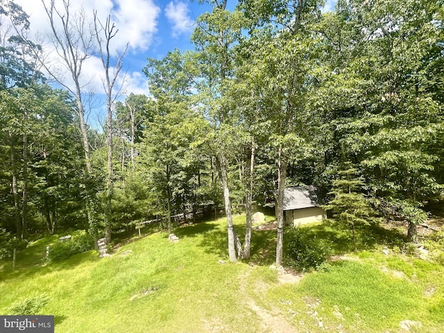 415 Rolly Rd, Mount Jackson, VA 22842 - view of green lawn
