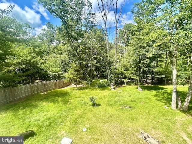 415 Rolly Rd, Mount Jackson, VA 22842 - view of yard
