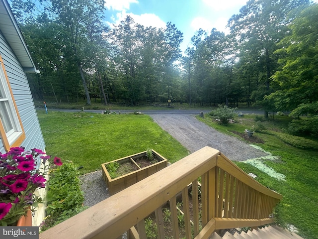 415 Rolly Rd, Mount Jackson, VA 22842 - view of grassy yard