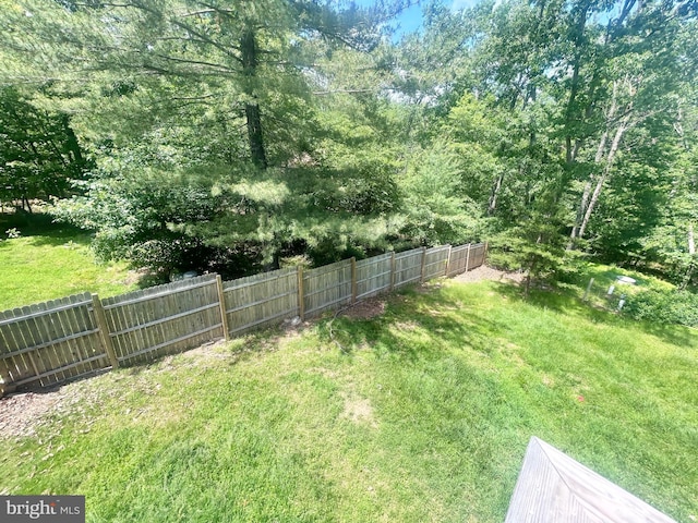 415 Rolly Rd, Mount Jackson, VA 22842 - view of yard