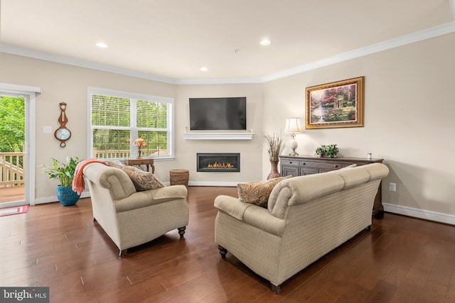 14039 Fox Hill Rd, Sparks, MD 21152 - living area featuring ornamental molding, plenty of natural light, a glass covered fireplace, baseboards, and recessed lighting