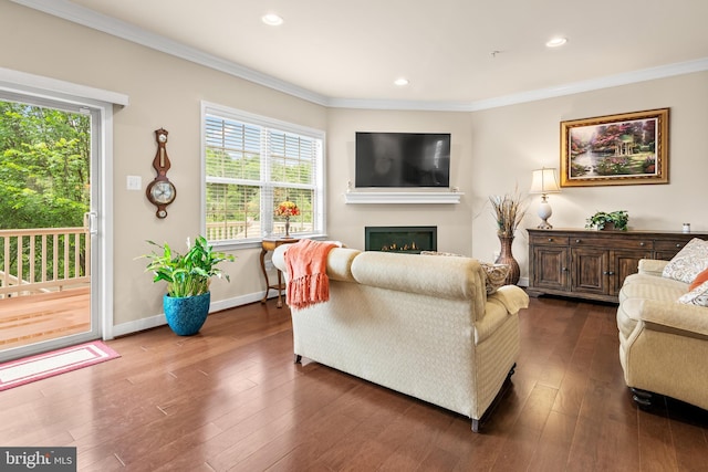 14039 Fox Hill Rd, Sparks, MD 21152 - living room with ornamental molding, a glass covered fireplace, recessed lighting, dark wood-style floors, and baseboards