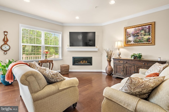 14039 Fox Hill Rd, Sparks, MD 21152 - living room featuring ornamental molding, a glass covered fireplace, baseboards, recessed lighting, and wood finished floors