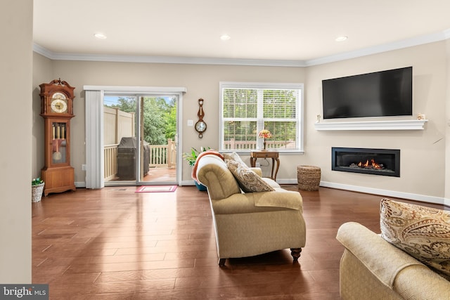 14039 Fox Hill Rd, Sparks, MD 21152 - living area featuring ornamental molding, wood finished floors, a glass covered fireplace, recessed lighting, and baseboards