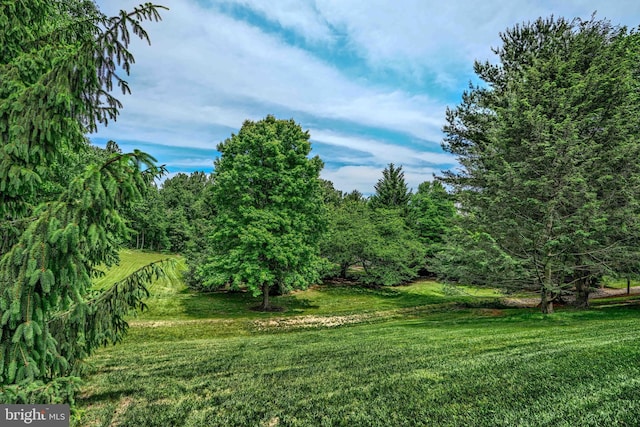 11920 Mays Chapel Rd, Lutherville Timonium, MD 21093 - view of green lawn