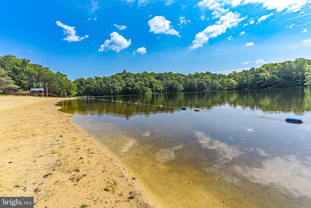 11621 Deadwood Dr, Lusby, MD 20657 - water view with a forest