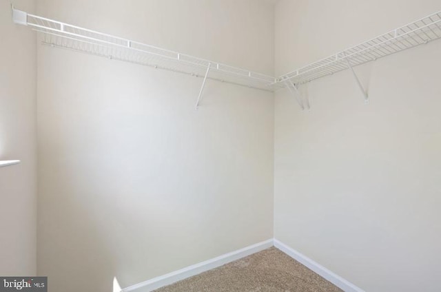 8 Rivers Edge Ter, Indian Head, MD 20640 - spacious closet with carpet flooring