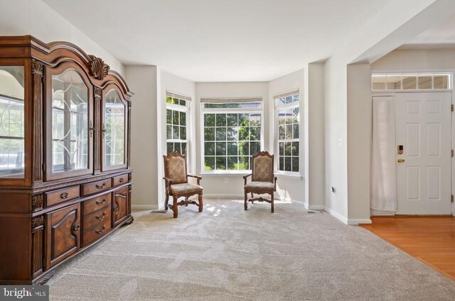 8 Rivers Edge Ter, Indian Head, MD 20640 - living area featuring light colored carpet and baseboards