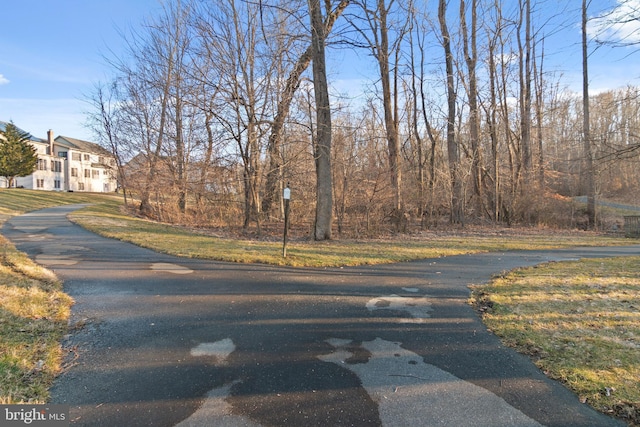 14603 Turner Wootton Pkwy, Upper Marlboro, MD 20774 - view of asphalt driveway