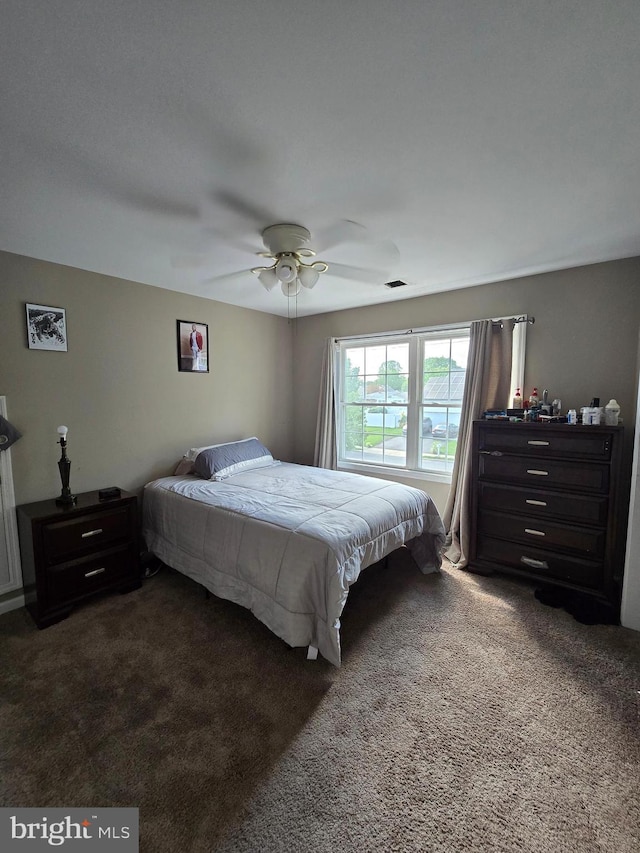 355 Leonard Ave, Hamilton, NJ 08619 - bedroom with dark carpet and ceiling fan