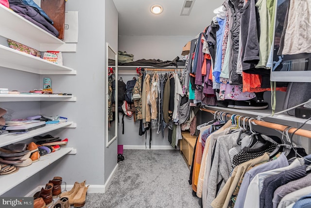 18 Basket Ct, Stafford, VA 22554 - walk in closet with carpet flooring