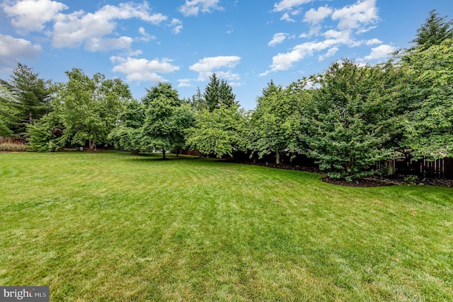 18 Basket Ct, Stafford, VA 22554 - view of green lawn