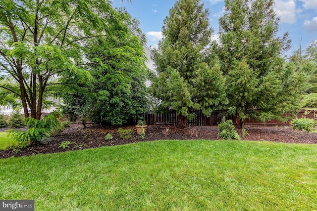 18 Basket Ct, Stafford, VA 22554 - view of yard