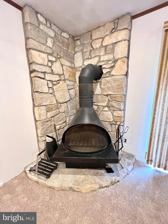 9939 Wingtip Rd, Philadelphia, PA 19115 - detailed view of carpet and a wood stove