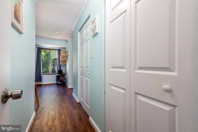 7708 Hanover Pkwy Unit 303, Greenbelt, MD 20770 - hall featuring dark wood finished floors and baseboards