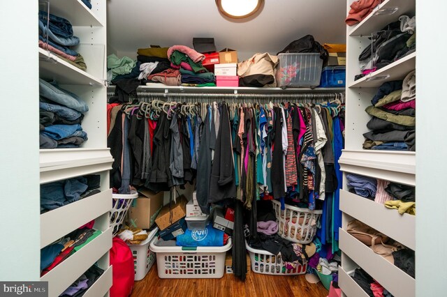 7708 Hanover Pkwy Unit 303, Greenbelt, MD 20770 - walk in closet with wood finished floors