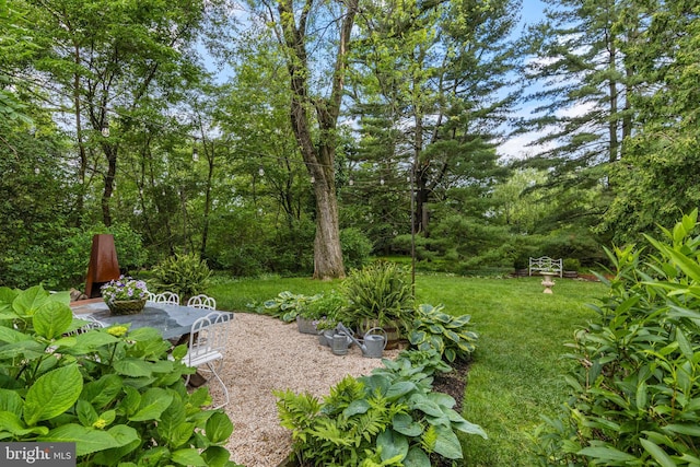 60 Old Eagle School Rd, Wayne, PA 19087 - view of yard
