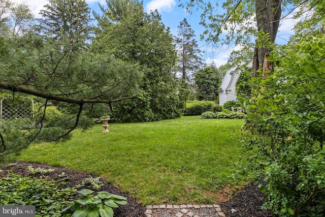 60 Old Eagle School Rd, Wayne, PA 19087 - view of green lawn