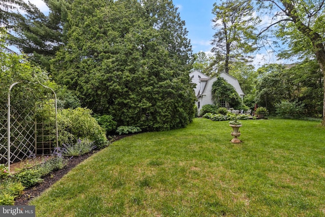 60 Old Eagle School Rd, Wayne, PA 19087 - view of green lawn