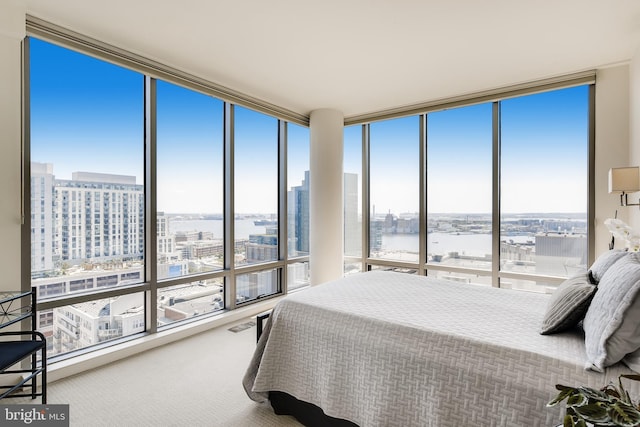 675 President St Unit 2105, Baltimore, MD 21202 - bedroom with floor to ceiling windows, a water view, a view of city, and carpet flooring