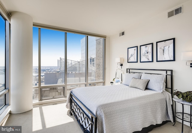 675 President St Unit 2105, Baltimore, MD 21202 - carpeted bedroom with floor to ceiling windows