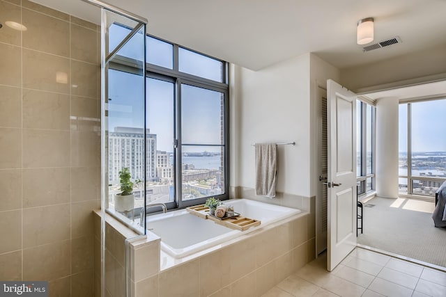 675 President St Unit 2105, Baltimore, MD 21202 - full bathroom with plenty of natural light, a garden tub, tile patterned floors, and a tile shower