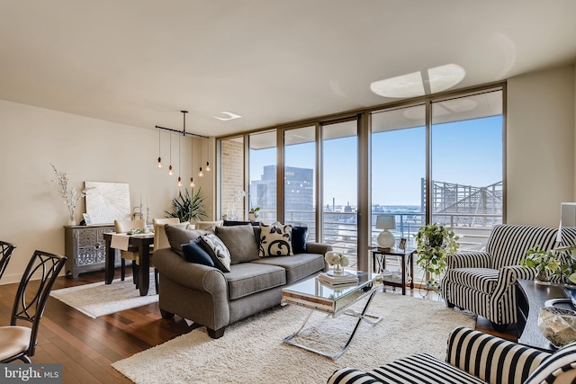 675 President St Unit 2105, Baltimore, MD 21202 - living area with wood-type flooring, a view of city, plenty of natural light, and expansive windows