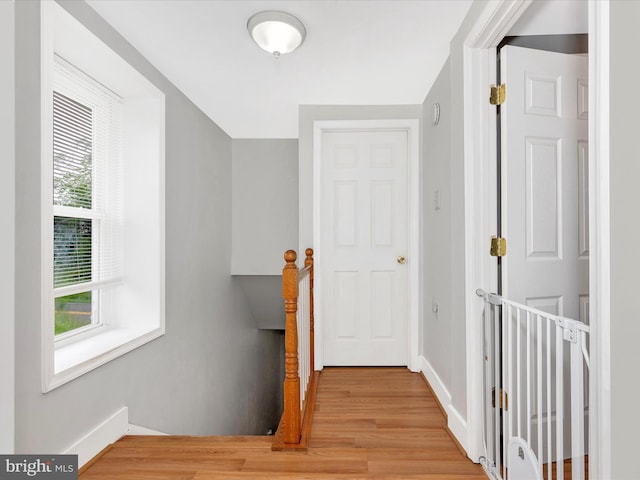 42 Bucher John Rd, Union Bridge, MD 21791 - hall featuring plenty of natural light, light wood-style floors, baseboards, and an upstairs landing