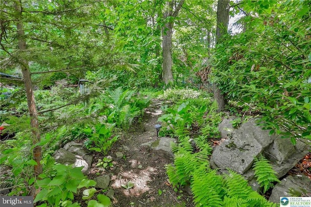 113 S Fairview St, Macungie, PA 18062 - view of nature