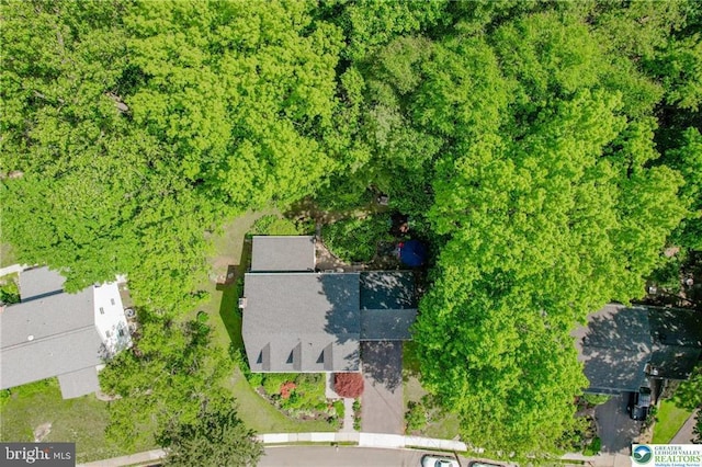 113 S Fairview St, Macungie, PA 18062 - aerial view