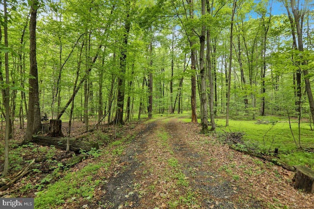 149 Bloody Spring Rd, Bernville, PA 19506