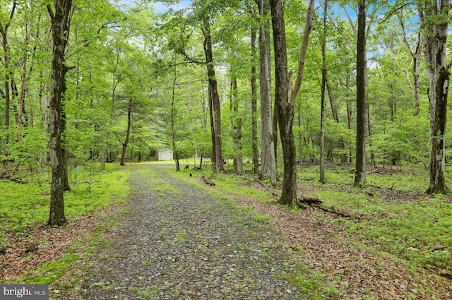 149 Bloody Spring Rd, Bernville, PA 19506