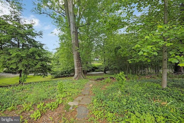 130 Bellmawr Ave, Haddon Heights, NJ 08035 - view of yard