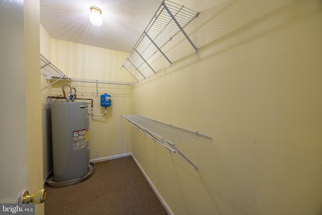 4078 Rose Bud Ct, Edinburg, VA 22824 - utilities featuring water heater