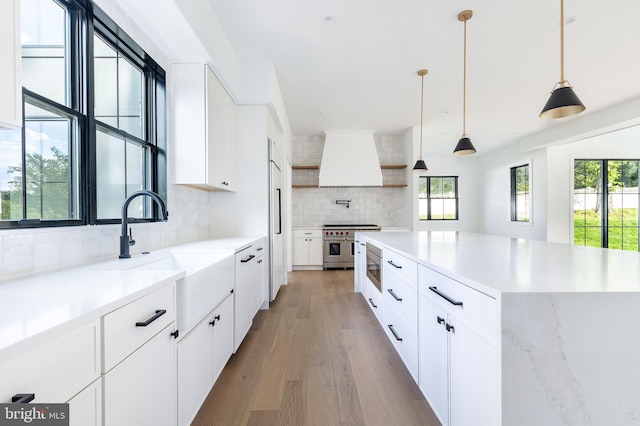 918 Ethan Allen Rd, Berwyn, PA 19312 - kitchen featuring premium appliances, custom exhaust hood, backsplash, light wood-type flooring, and a sink