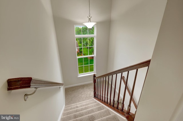 43469 Town Gate Sq, Chantilly, VA 20152 - staircase with plenty of natural light, carpet floors, and baseboards