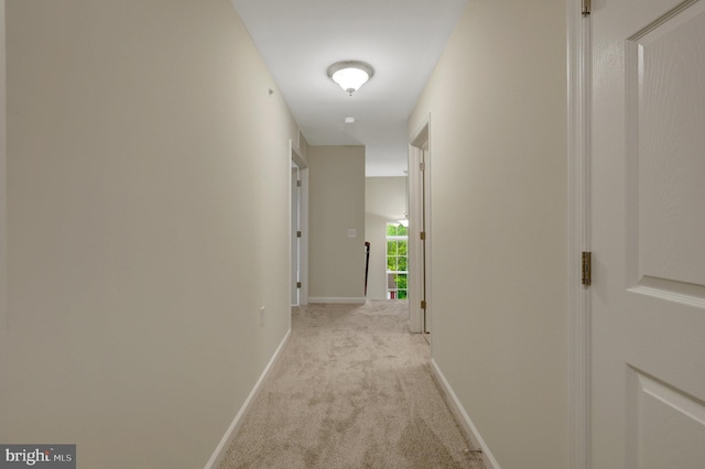 43469 Town Gate Sq, Chantilly, VA 20152 - hall with light colored carpet and baseboards