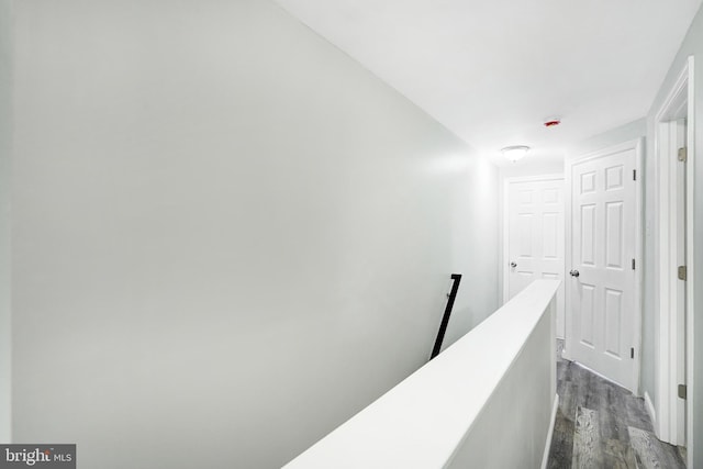 565 Line St, Camden, NJ 08103 - hallway with an upstairs landing and dark wood-style floors