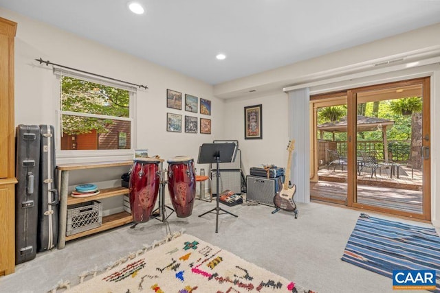 213 Turkey Ridge Rd, Charlottesville, VA 22903 - rec room featuring plenty of natural light, carpet, and recessed lighting