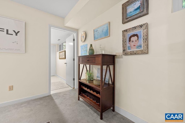 213 Turkey Ridge Rd, Charlottesville, VA 22903 - corridor with carpet floors and baseboards