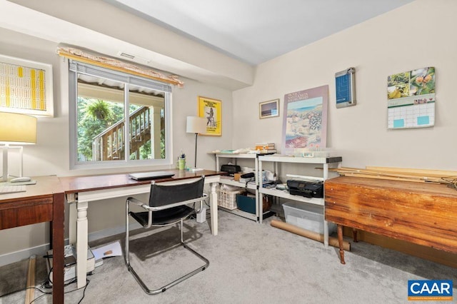 213 Turkey Ridge Rd, Charlottesville, VA 22903 - view of carpeted office