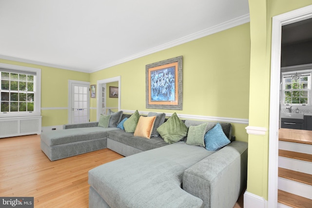 1107 Kenmore Ave, Fredericksburg, VA 22401 - living area with radiator heating unit, wood finished floors, crown molding, and plenty of natural light