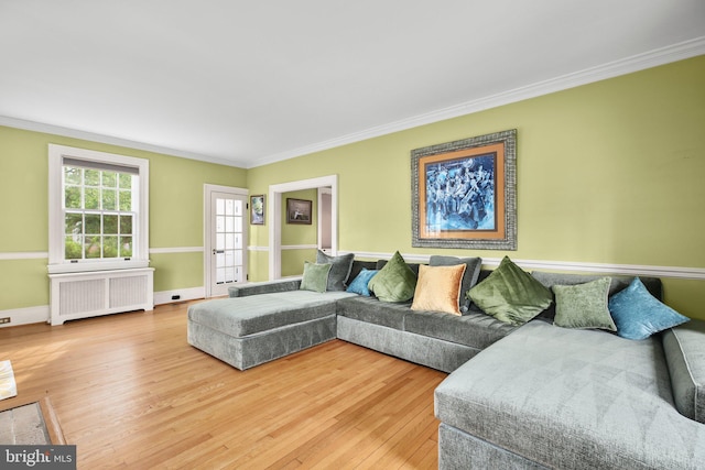 1107 Kenmore Ave, Fredericksburg, VA 22401 - living area featuring radiator heating unit, light wood-style flooring, crown molding, and baseboards