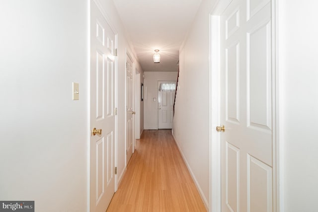 1813 Creek View Ct, New Cumberland, PA 17070 - corridor with light wood finished floors and baseboards